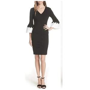 Ted Baker London Rastrel Sheath Dress Size 0